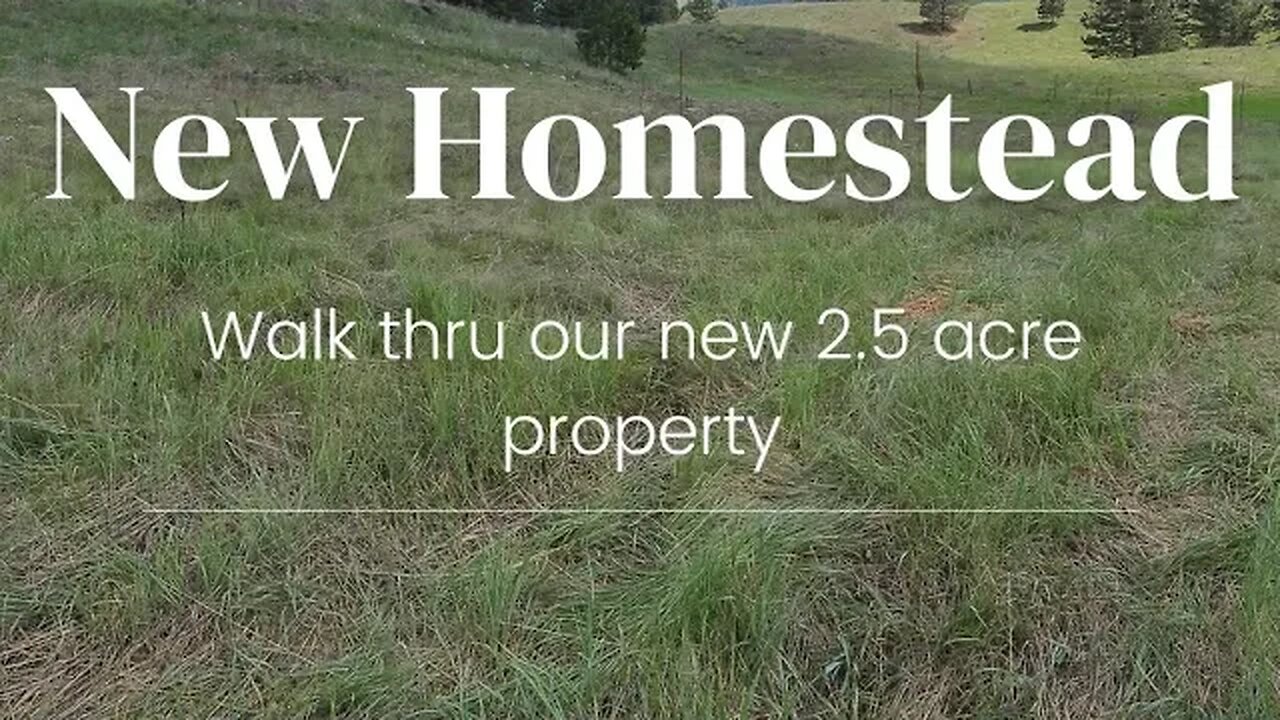 New Homestead Tour! 2.5 acre property, USDA zone 5