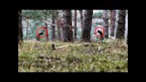 Two Guys Noticed These Pipes Sticking Out Of Ground. They Never Expected This To Be Underneath