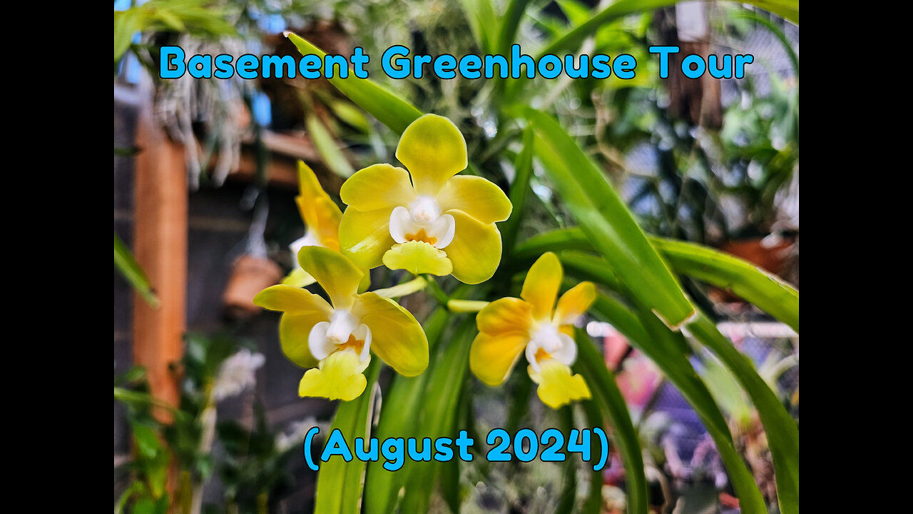 Basement Greenhouse Tour (August 2024)