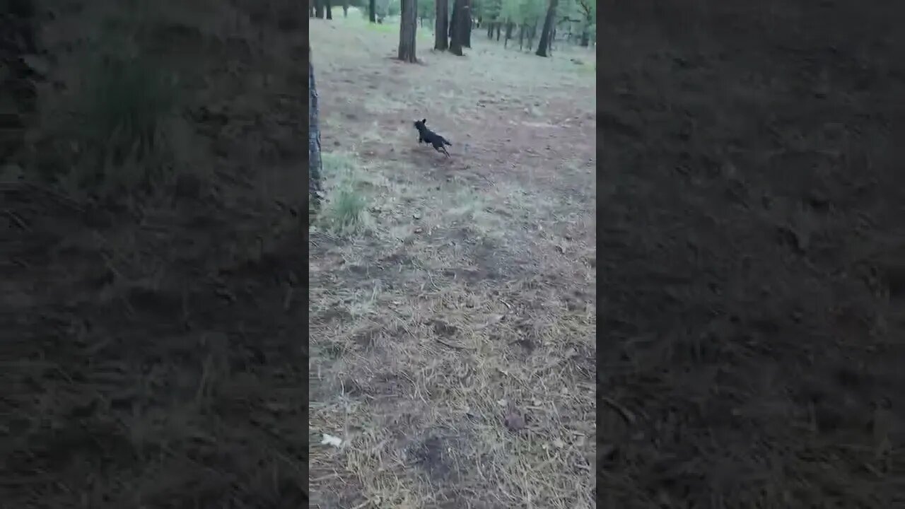 and the race is on...lol