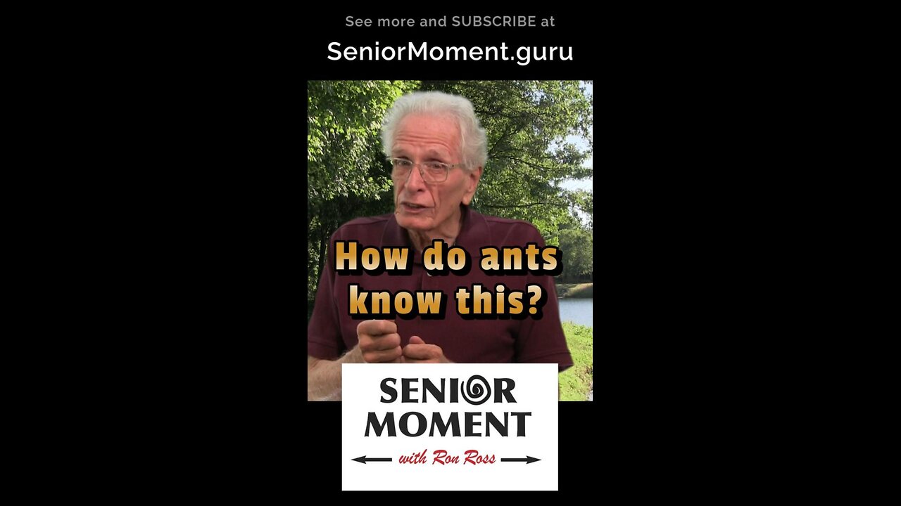 How does the ant know this?