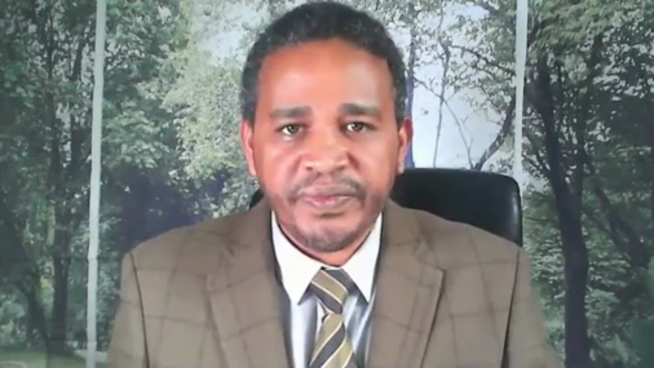 የሻቢያ ተሳትፎ የውስጥ ችግራችንን እንዳንፈታ እና ለውስብስብ ችግር ዳርጎናል - ኤርሚያስ ለገሰ