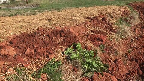 The power of progress in natural systems