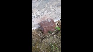 Mineral block salt lick above house