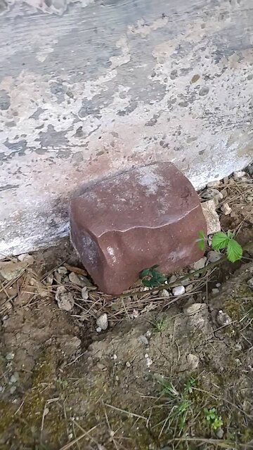 Mineral block salt lick above house
