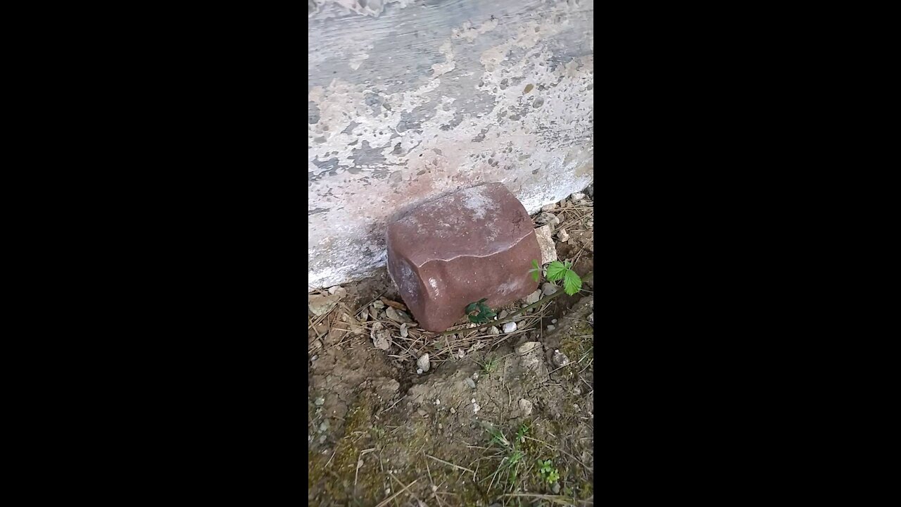 Mineral block salt lick above house