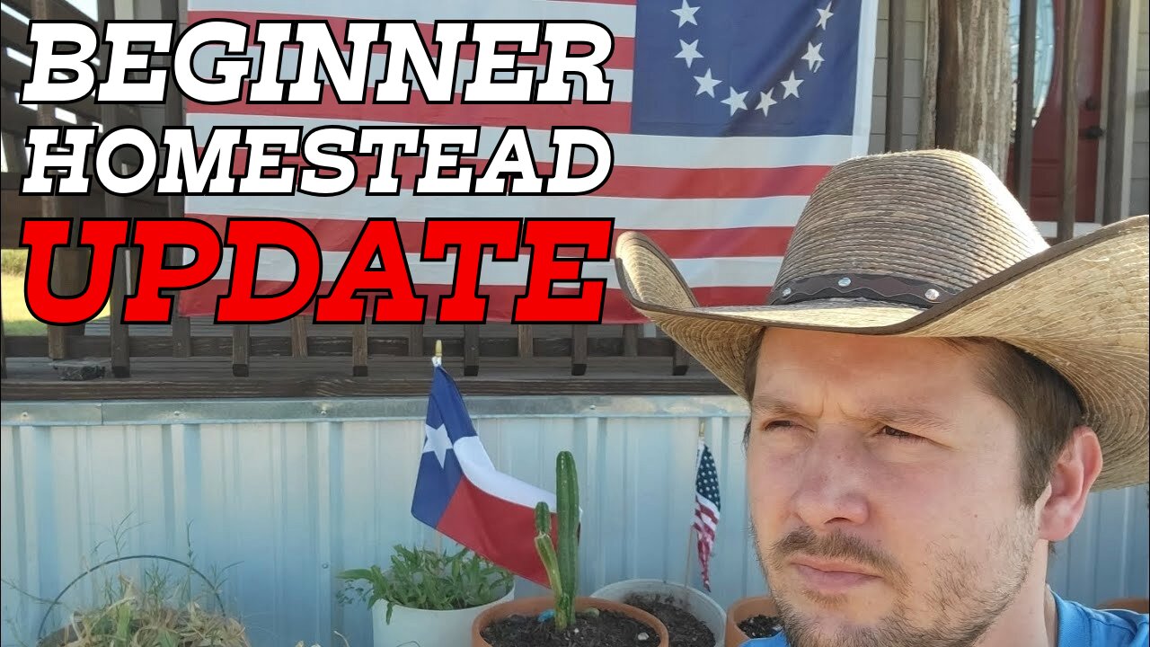 Beginner Homestead Update