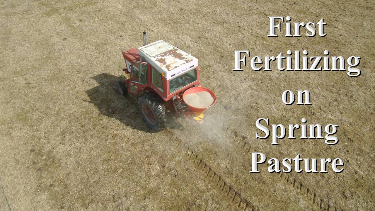 First Fertilizing on Spring Pasture