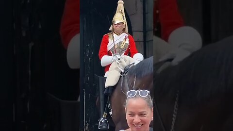 The tourist still getting bitten and grabbing the reins new sign no effect #horseguardsparade
