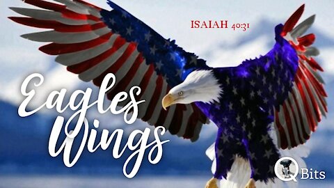 #290 // EAGLES WINGS