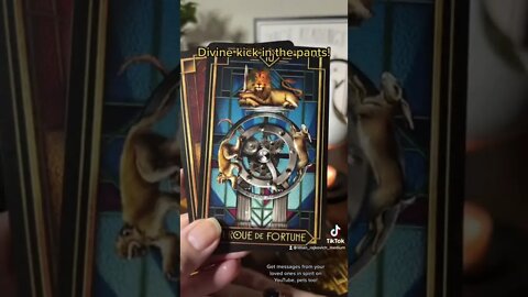 #Divine #Kick #In #The #Pants #Tarot #Guidance #Message #YouTube #TikTok￼