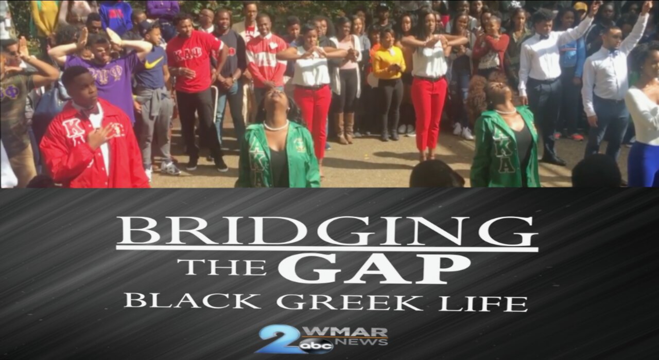 Bridging the Gap: Black Greek Life