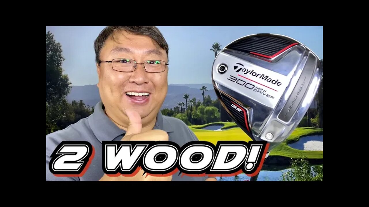 Why You Need The TaylorMade 300 Mini Driver