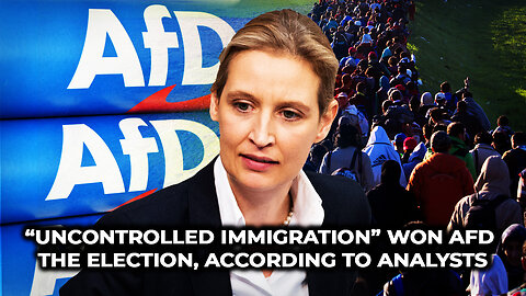 Uncontrolled immigration won AfD the election according to analysts