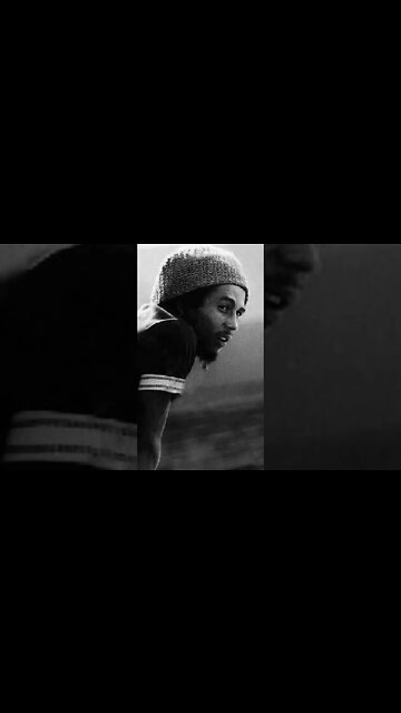 Bob Marley The KING of MUSIC #bobmarley #music #shorts #viral #reggae #trending #love #subscribe