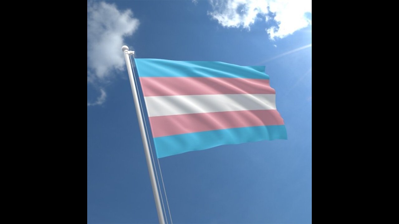 Musings #224 Transgender Day of Visibility