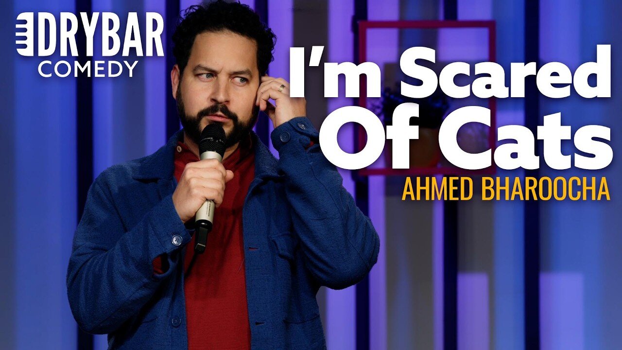 When You Tell People You're Afraid Of Cats. Ahmed Bharoocha