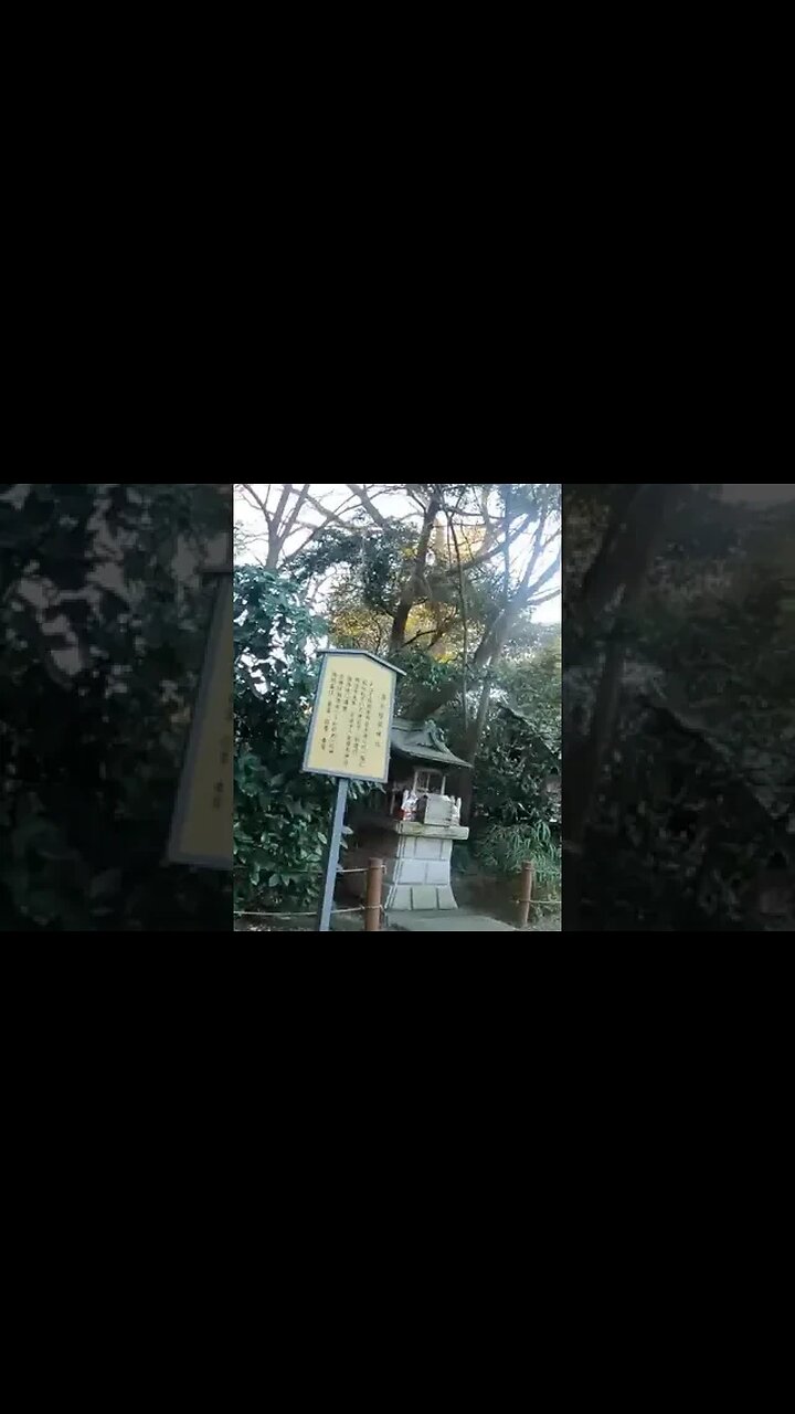 A Japan that no one knows. God of the Toilet