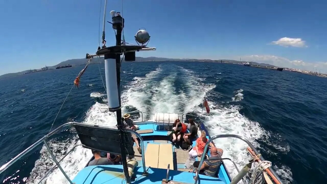 Coming soon... Todays video.