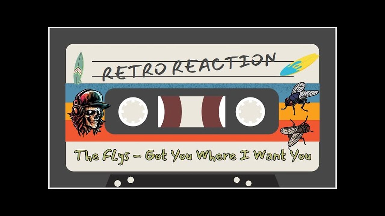 RETRO REACTION - Story and a Song - The Flys - Got You (Where I Want You)