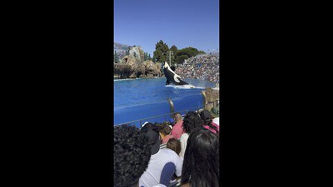 Sea world