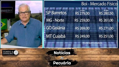 Boi gordo começa dezembro em alta mas produtor está desconfiado com 2023