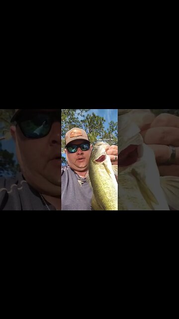 Tiny ponds breed tint pond monsters #bassfishing #pondfishing #largemouthbassfishing