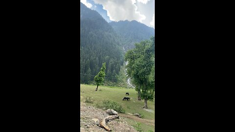 Beautiful valley meadow view