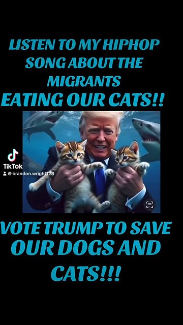 My Rap song about the cats and dogs of Springfield