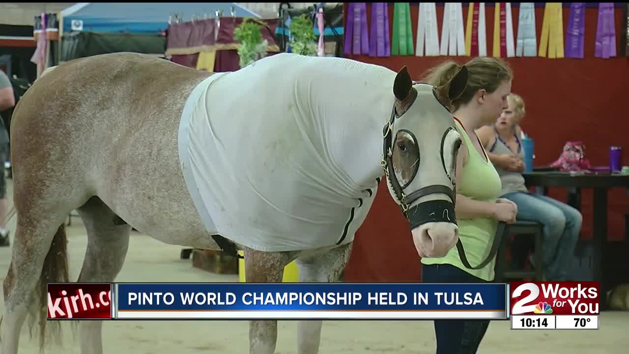 Pinto World Championship held in Tulsa