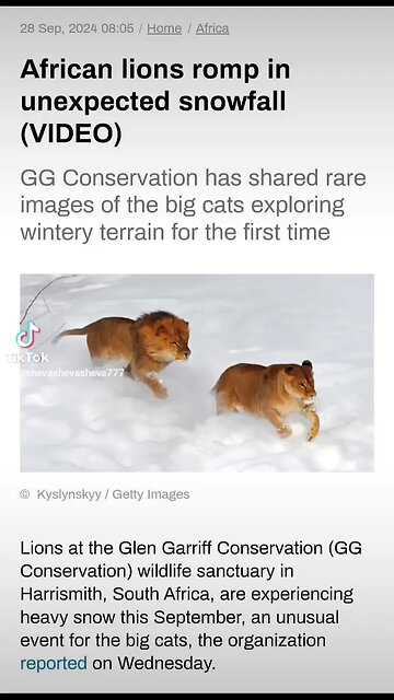 Grand Solar Minimum 2020-2053