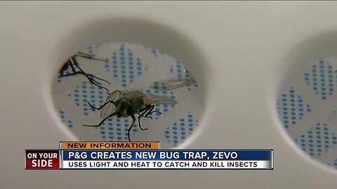 Zevo uses light and heat to catch and kill insects