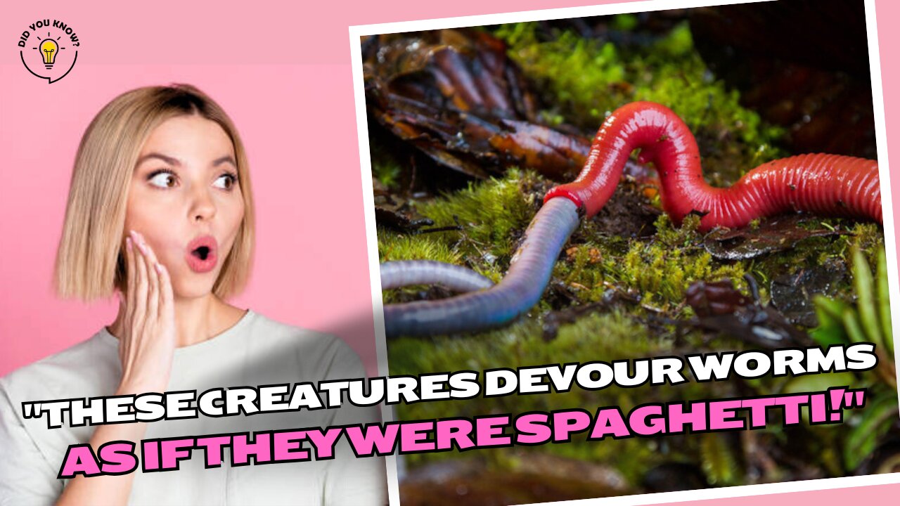 "These creatures devour worms as if they were spaghetti!"