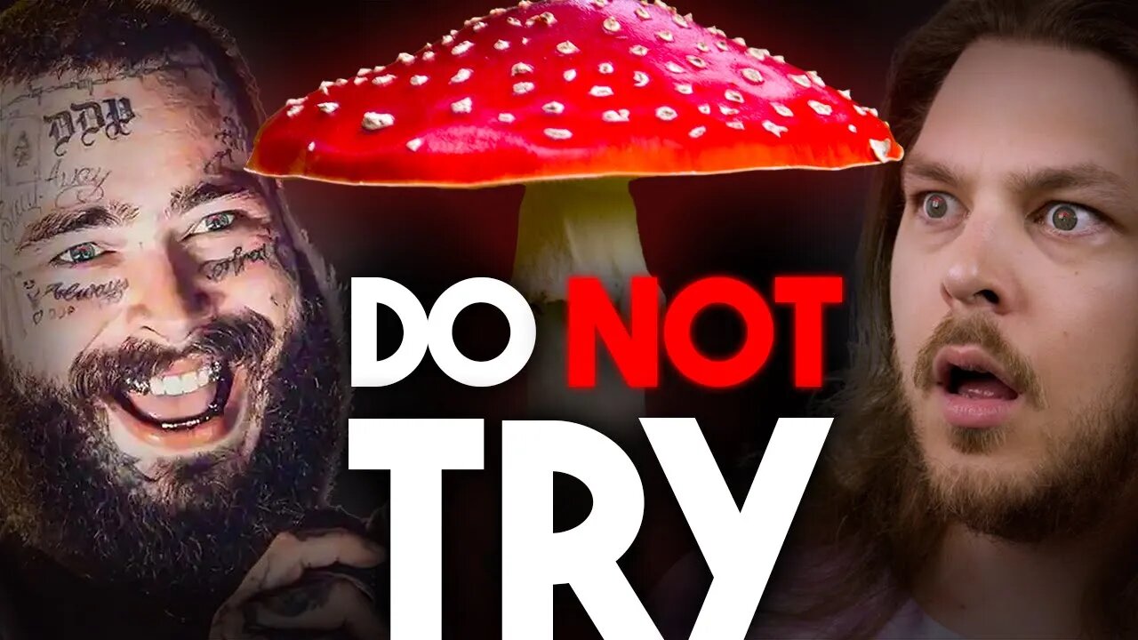 Amanita Muscaria Did Me Dirty At The Post Malone Concert (Trip Report)