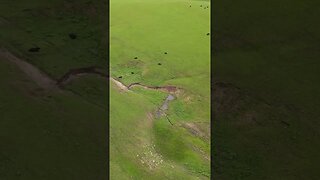 The Flint Hills Near Kansas City