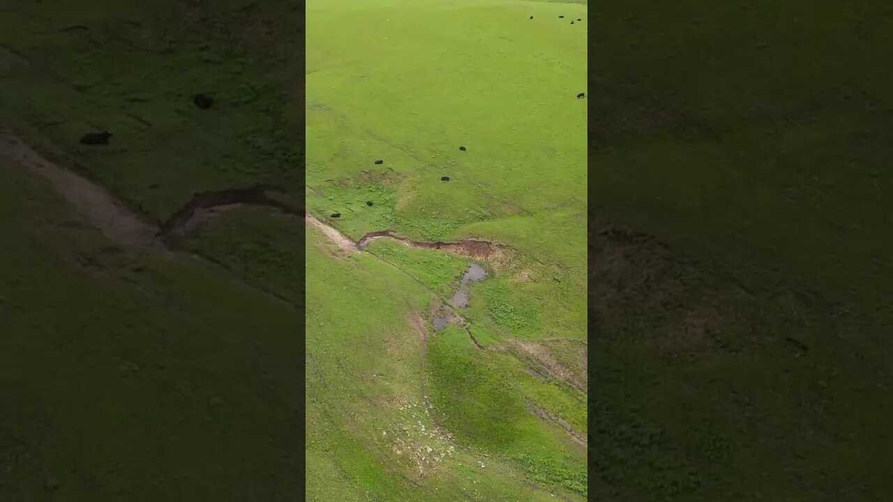 The Flint Hills Near Kansas City