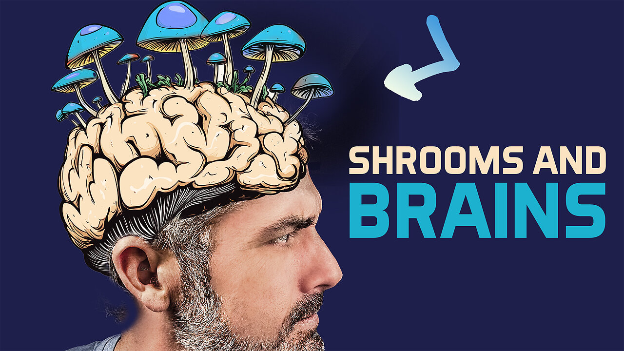 Your Brain on Mushrooms - The Neuroscience Explained