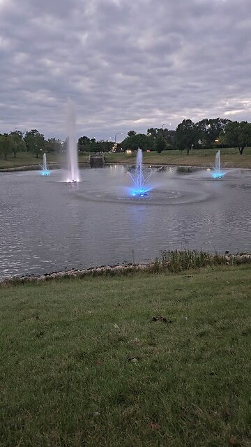 My Peaceful Place - The Narcissist Next Door