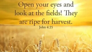 God said: It's HARVEST TIME! Now What?