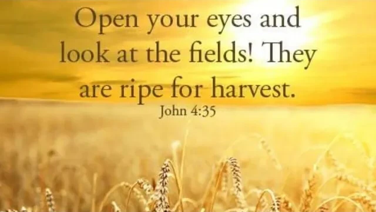 God said: It's HARVEST TIME! Now What?