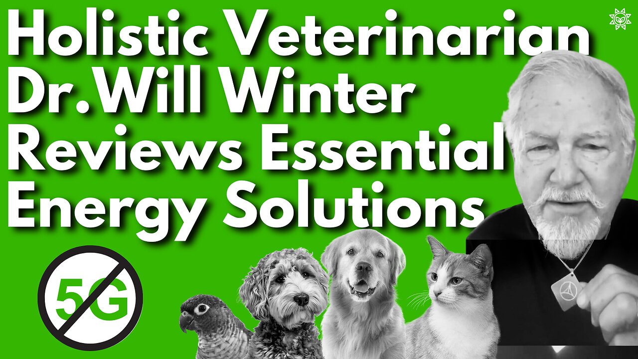 Holistic Veterinarian Dr. Will Winter's Testimonial | Essential Energy Solutions