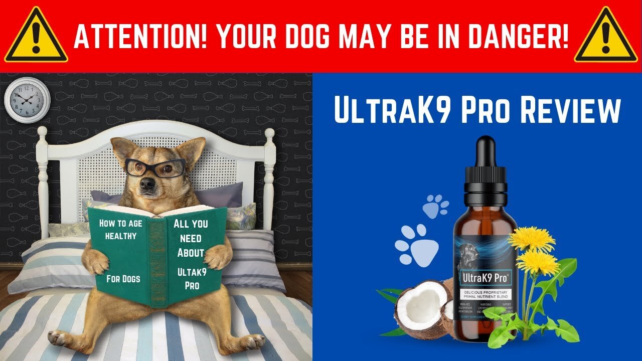 🐶 UltraK9 Pro Review ⚠️ATTENTION! YOUR DOG MAY BE IN DANGER⚠️ UltraK9 Pro Reviews