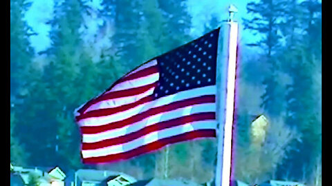 IECV TATA #21 | 👀 A Northern Flicker - The American Flag Blowing In The Wind 2-20-2015