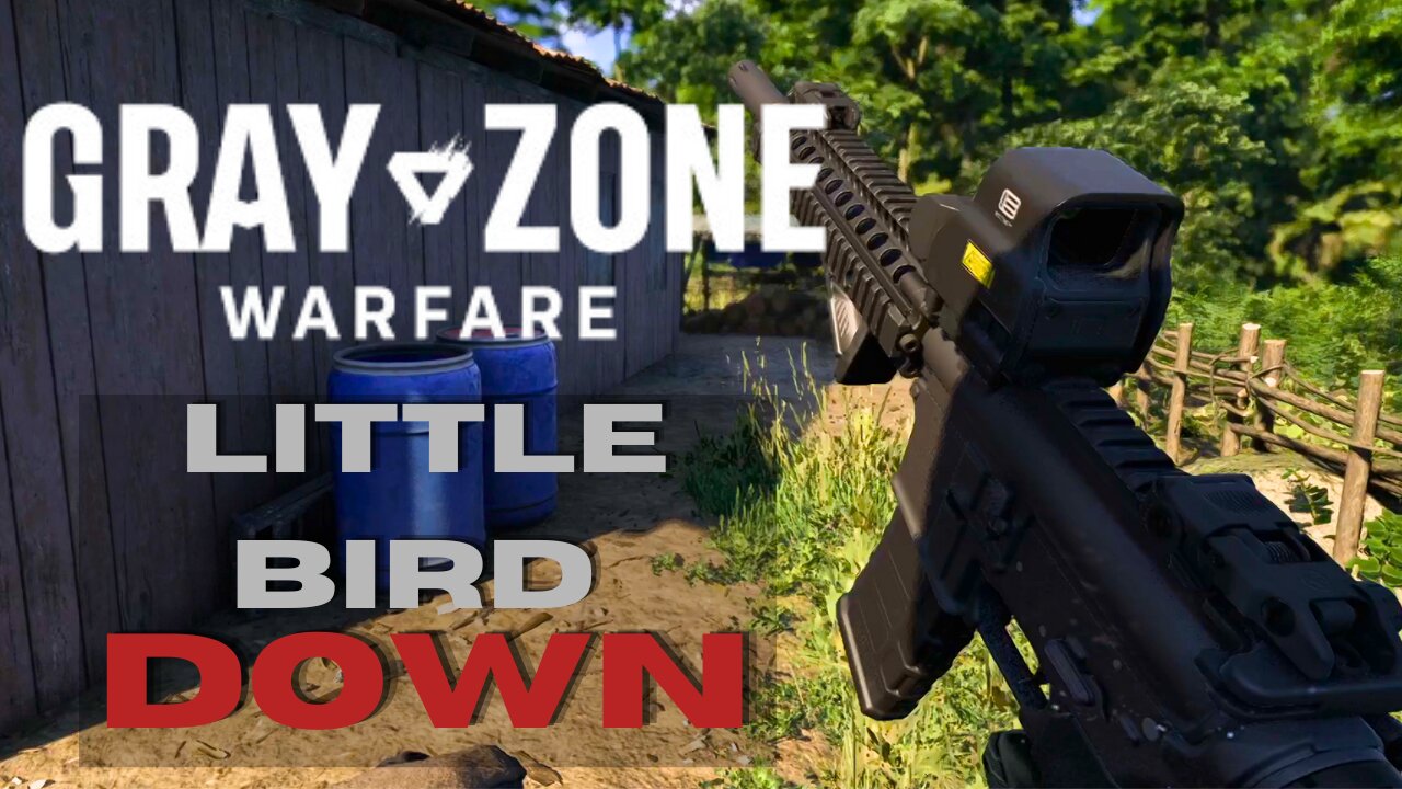 Gray Zone Warfare Little Bird DOWN