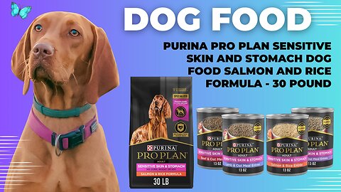 Purina Pro Plan Sensitive Skin and Stomach Dog Food Salmon and Rice Formula