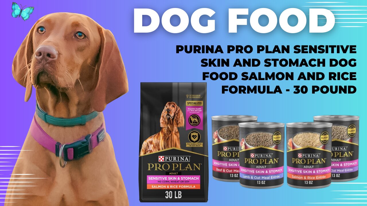 Purina Pro Plan Sensitive Skin and Stomach Dog Food Salmon and Rice Formula