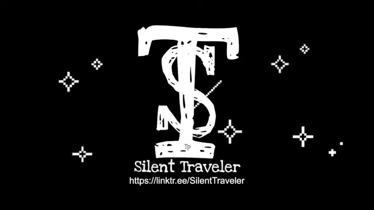 SILENT TRAVELER TV - FUNNY VIRAL CLIPS