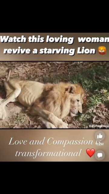 Acts of Kindness & Love