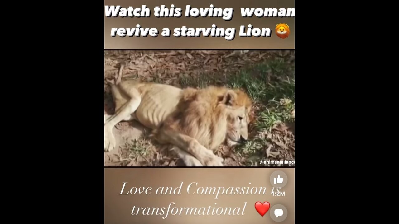 Acts of Kindness & Love