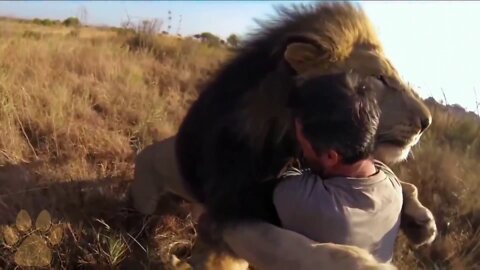 Animals Reunited With Owners After Years